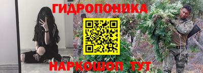 ALPHA PVP Бийск