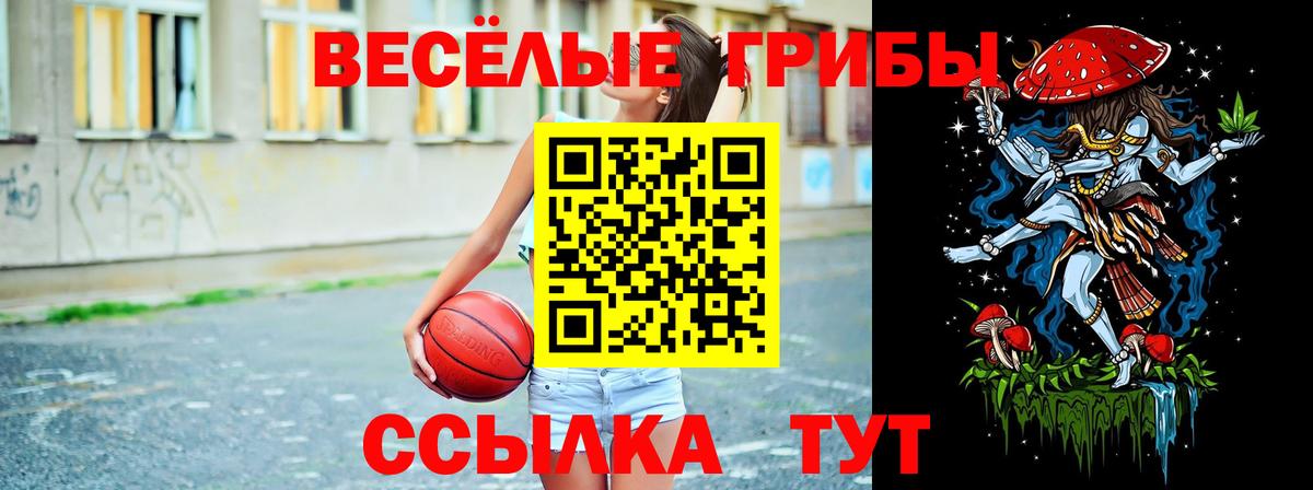 Галлюциногенные грибы Cubensis Кисловодск