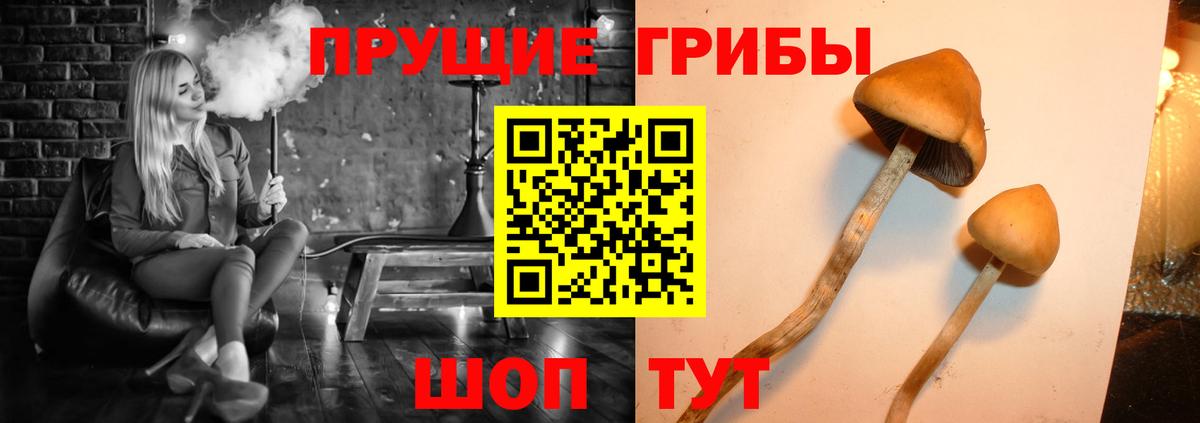 Псилоцибиновые грибы мухоморы  Галлюциногенные грибы Psilocybe  Вход с VPN  Кисловодск 